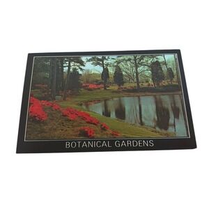 Norfolk Virginia Botanical Gardens Postcard Charm of Tidewater Azaleas Pines